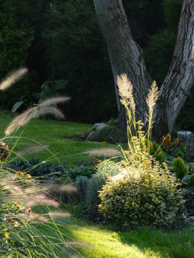 Lichtdurchfluteter Garten mit hohen Gräsern und bunten Pflanzen um einen Baum.